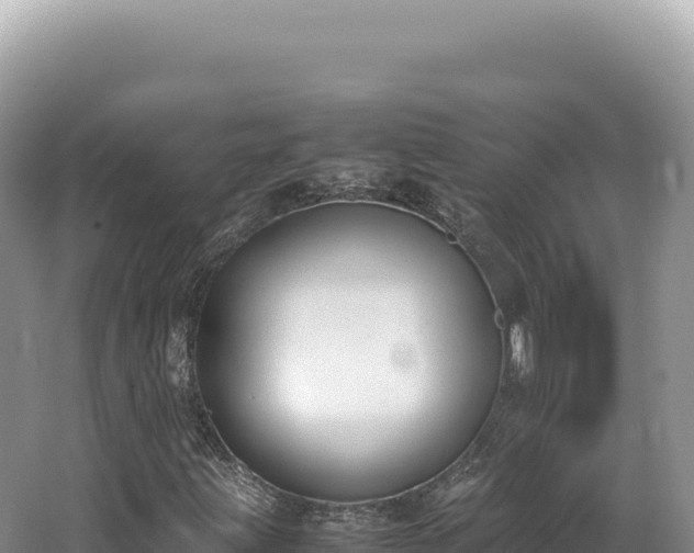 X0000062151203200512121258