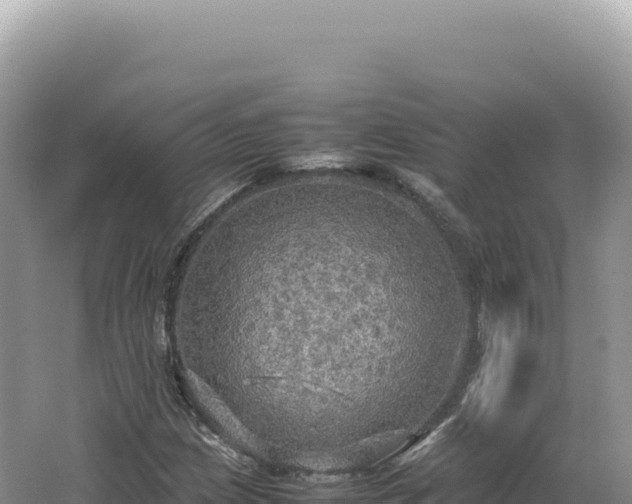 X0000062151209200512121258