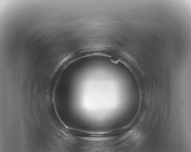 X0000062151210200512121259