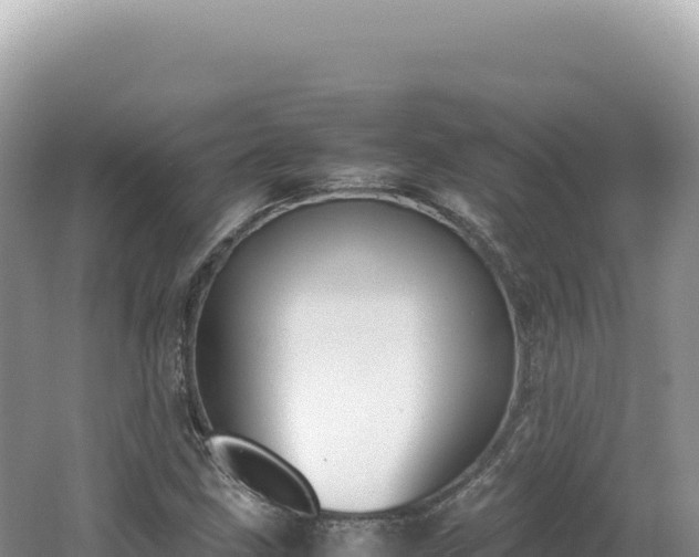 X0000062151211200512121259