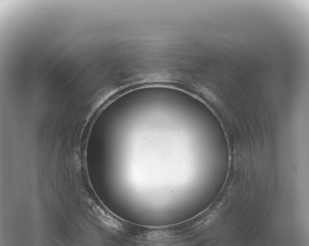 X0000062151212200512121259