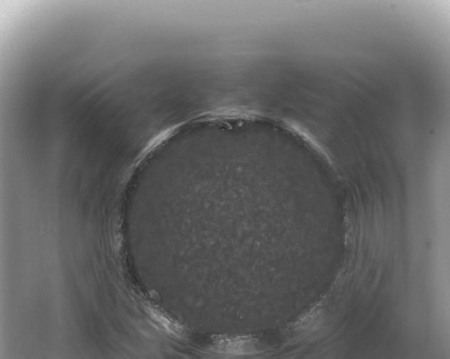 X0000062151213200512121259