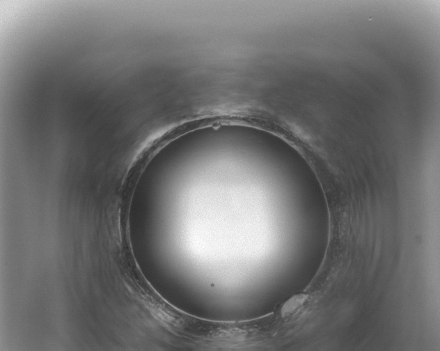 X0000062151214200512121259