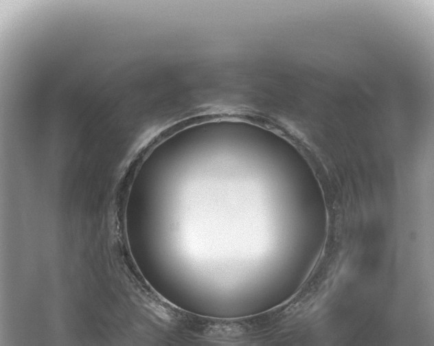 X0000062151215200512121259