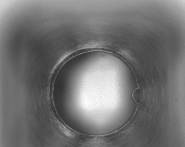 X0000062151216200512121259