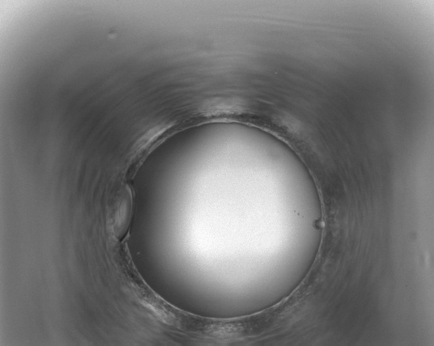 X0000062151217200512121259