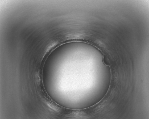 X0000062151218200512121259