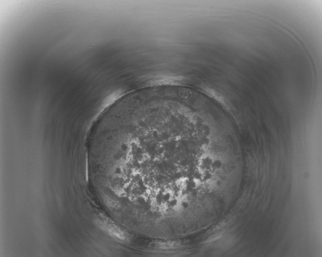 X0000062151219200512121259