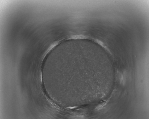 X0000062151221200512121259