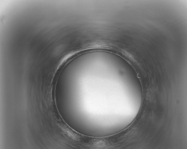 X0000062151222200512121259