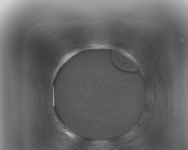 X0000062151223200512121259