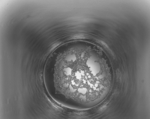 X0000062151225200512121259