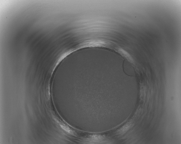 X0000062151226200512121259