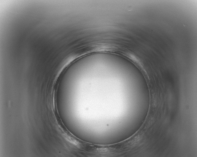 X0000062151227200512121259