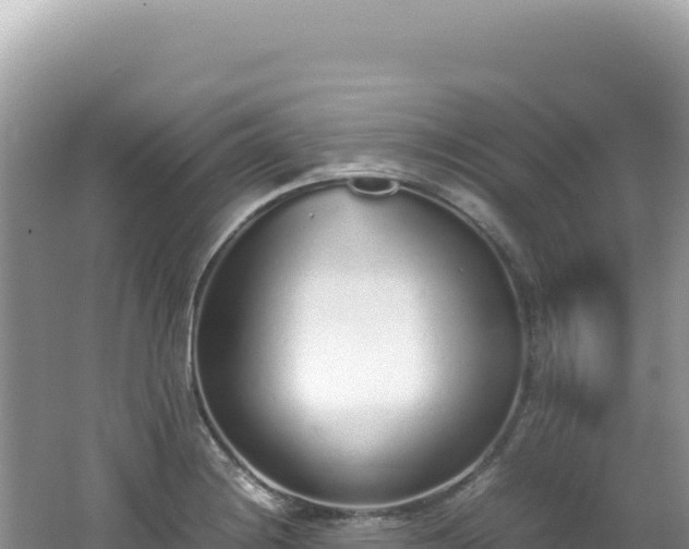 X0000062151228200512121259