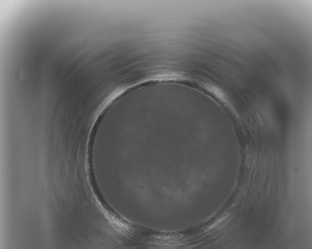 X0000062151229200512121259