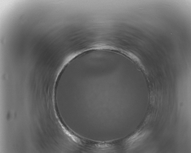 X0000062151231200512121259