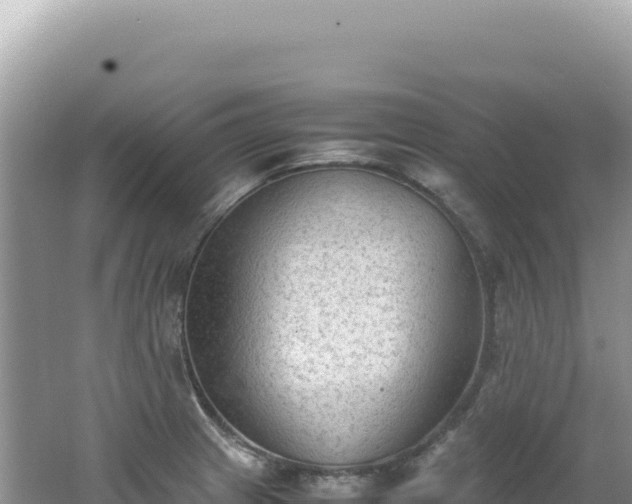 X0000062151233200512121259