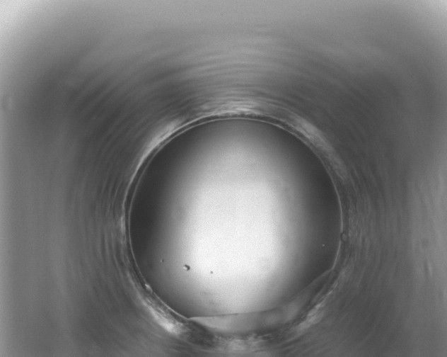 X0000062151234200512121259