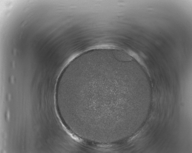 X0000062151237200512121259