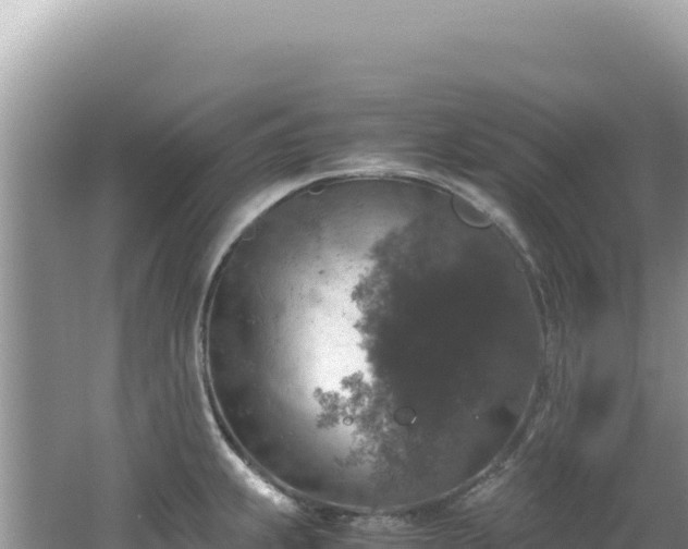 X0000062151239200512121259