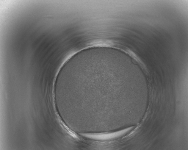 X0000062151240200512121259