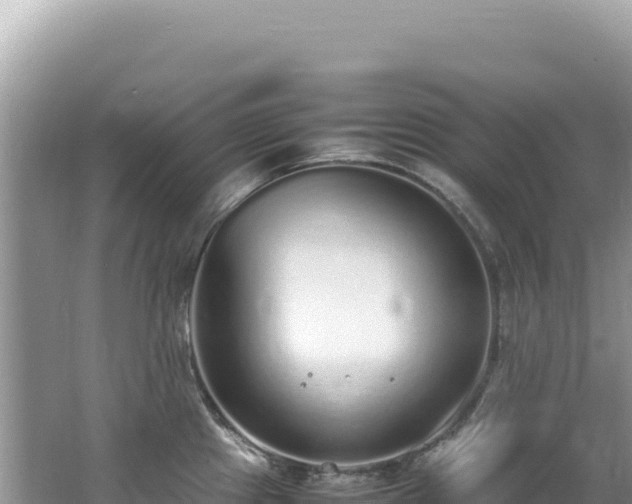 X0000062151241200512121259