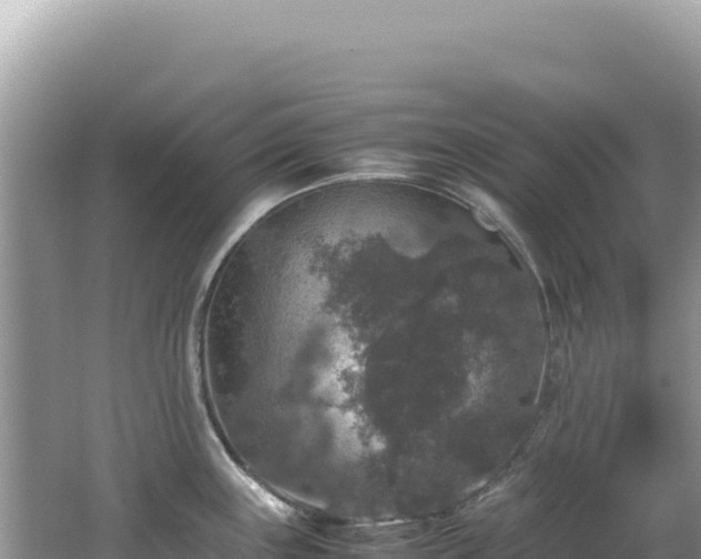 X0000062151243200512121259