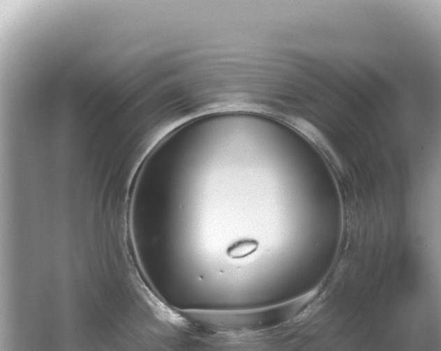 X0000062151244200512121259