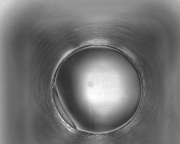 X0000062151248200512121259