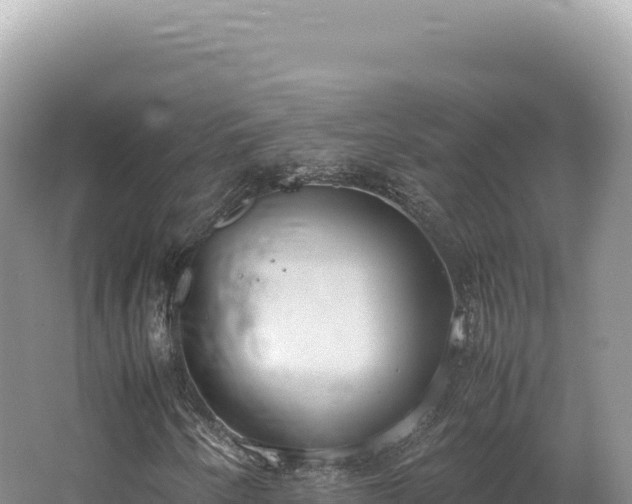 X0000062151250200512121258