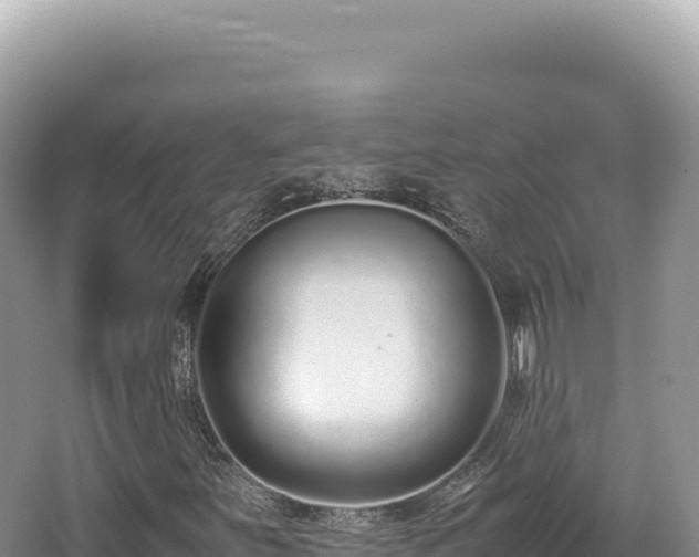 X0000062151251200512121258