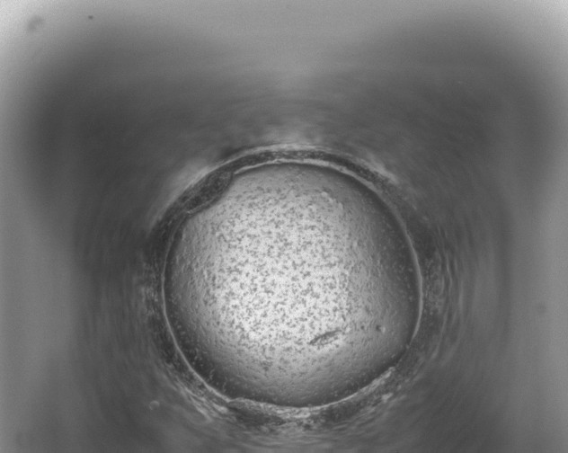 X0000062151255200512121258