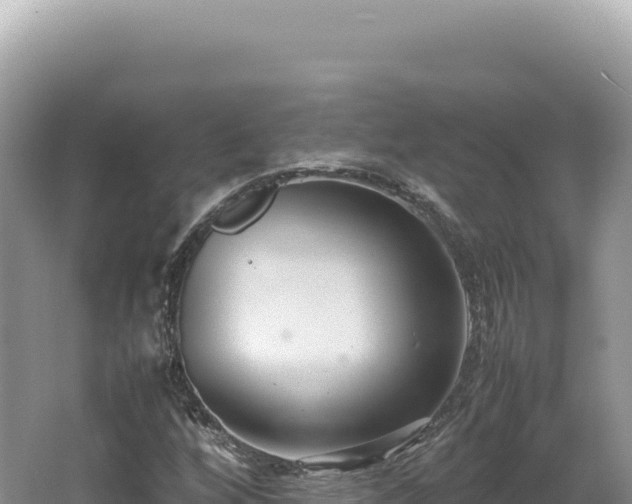 X0000062151256200512121258