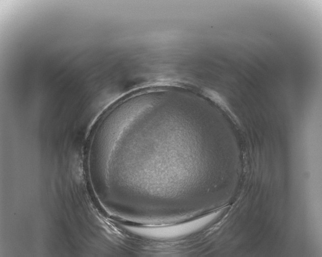 X0000062151260200512121258