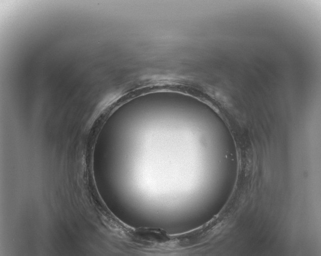 X0000062151261200512121258