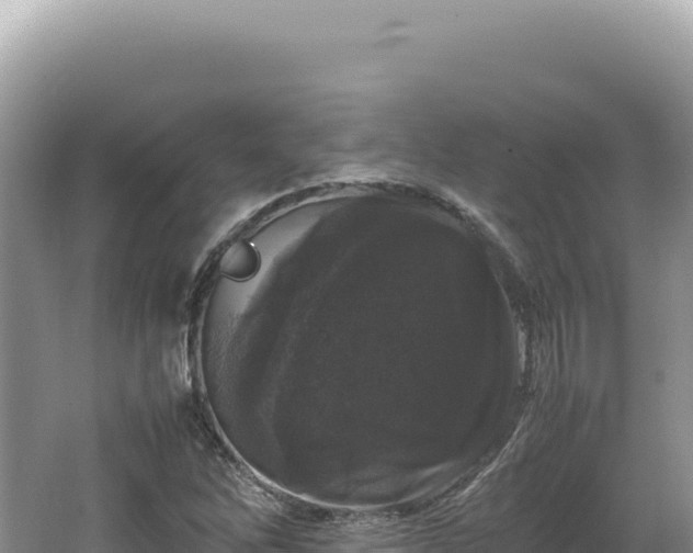 X0000062151262200512121258