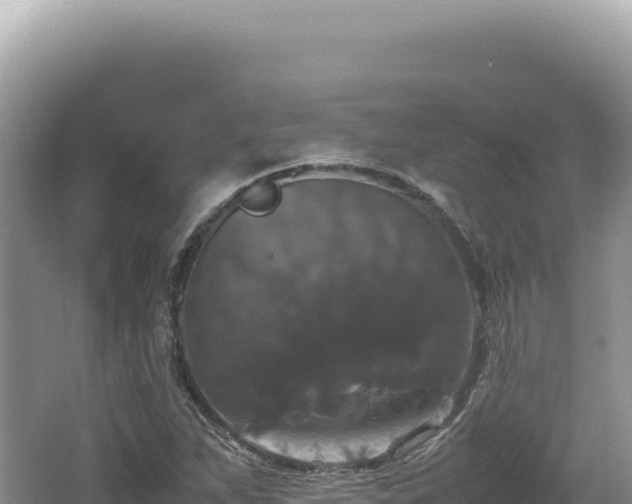 X0000062151263200512121258