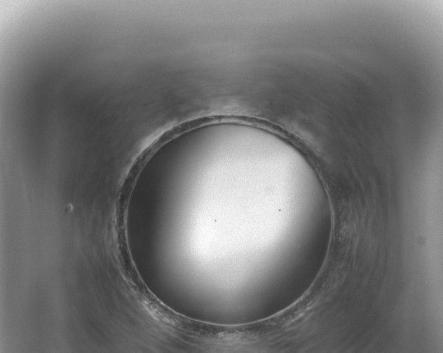 X0000062151264200512121258