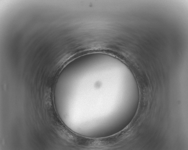 X0000062151265200512121258