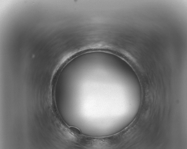 X0000062151270200512121258