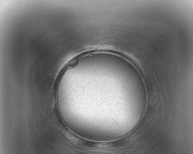 X0000062151271200512121258