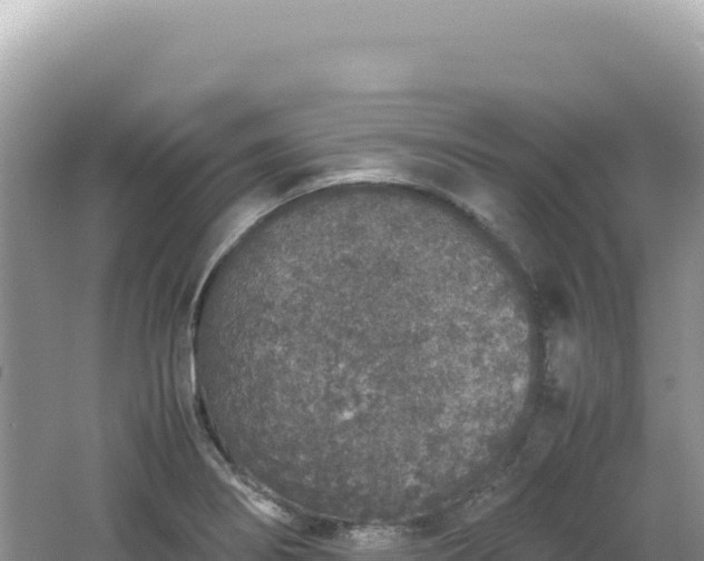 X0000062151274200512121258