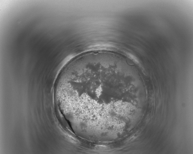 X0000062151275200512121258