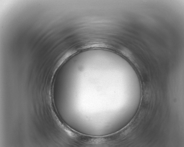 X0000062151282200512121258