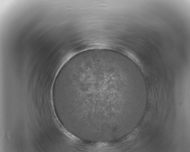 X0000062151283200512121258