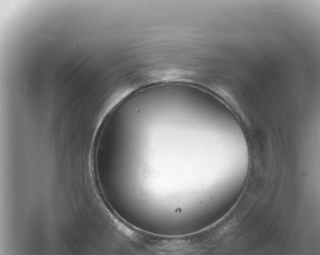 X0000062151285200512121258