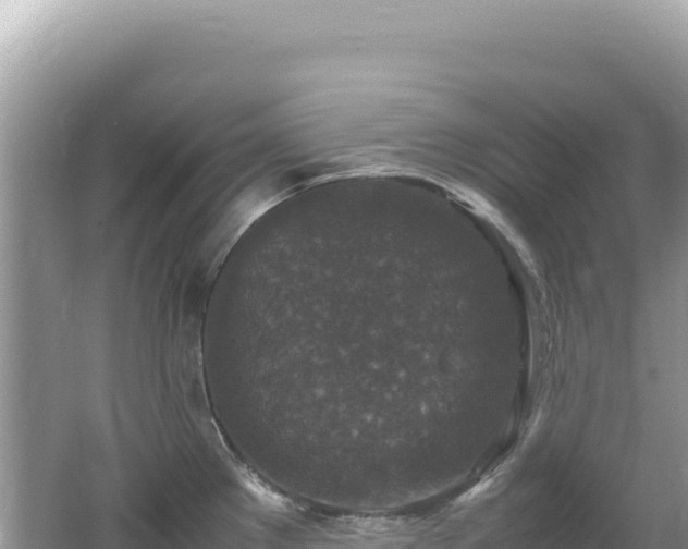 X0000062151289200512121258