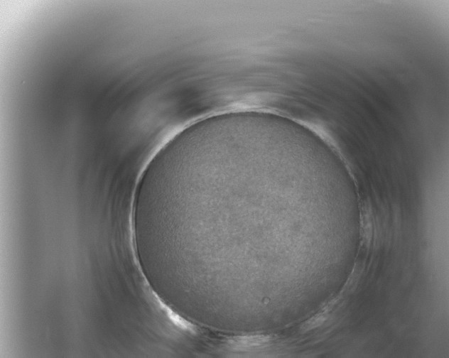 X0000062151294200512121258