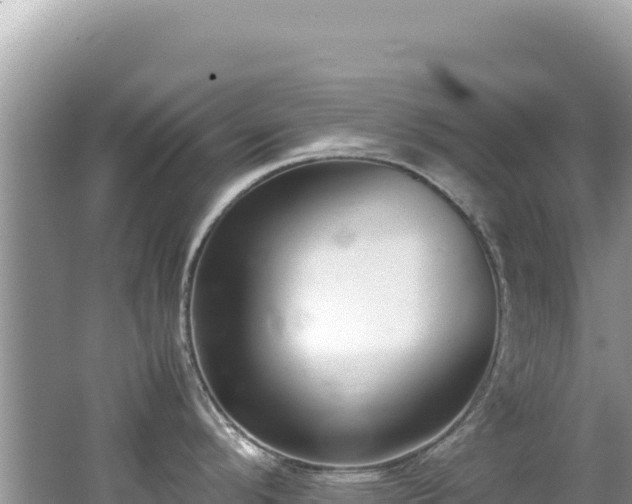 X0000062151296200512121258